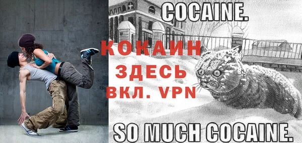 дживик Гусев