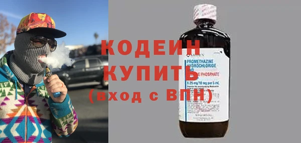 стаф Гусь-Хрустальный
