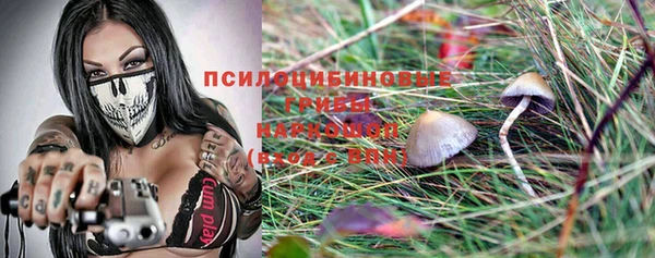 стаф Гусь-Хрустальный