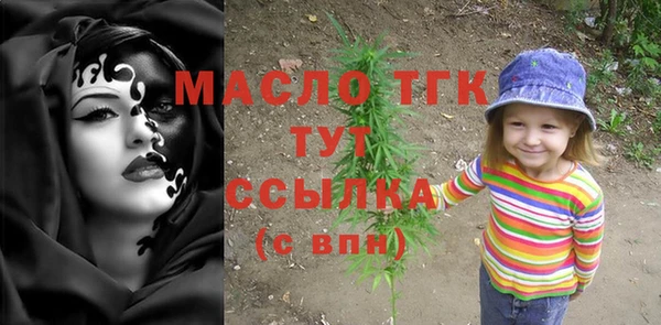 стаф Гусь-Хрустальный