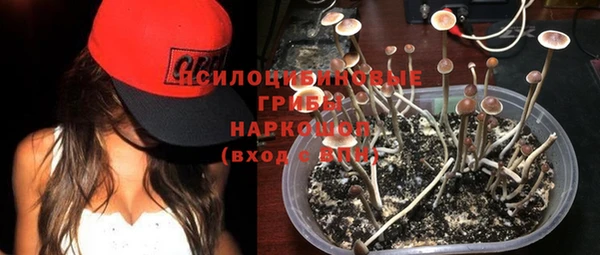 дживик Гусев